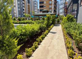 IMG_5606_RIGINAL_COPY_1