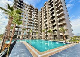 Img_1174_riginal_copy_1