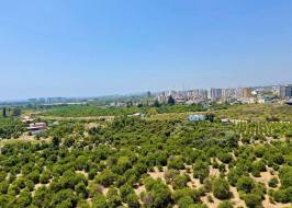 photo_2025-07-31_12-10-15_original_copy_1