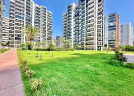 IMG_3383_original_copy_1