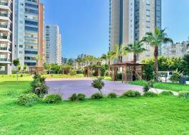 IMG_3384_original_copy_1