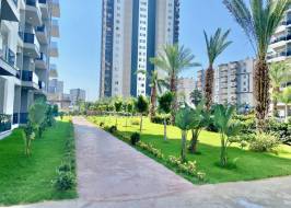 IMG_3987_original_copy_1