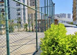 IMG_3626_ORIGINAL_COPY_1_COPY_1