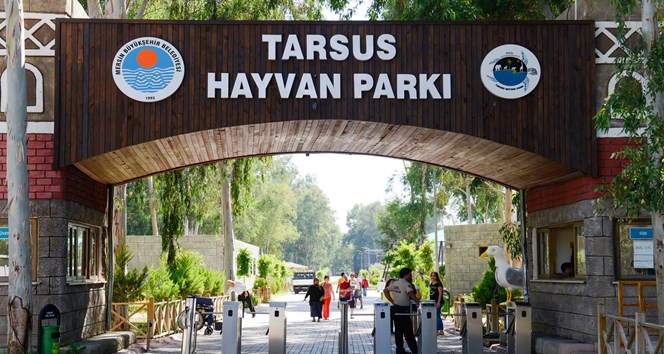 Zoo Tarsus