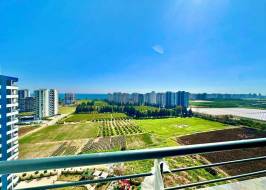 ibr00116211_original