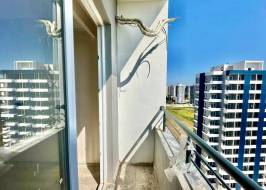 ibr00116214_original