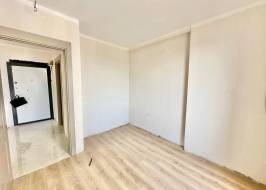 ILE00116404_original