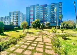 As3035092125_original