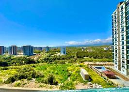 As708912w16_original