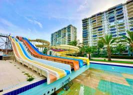 SunFlowers104_original