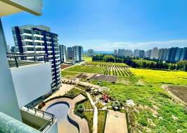 IBR00215401_original