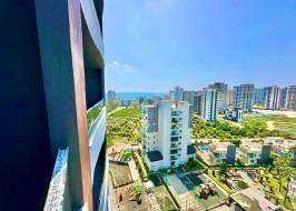 Oma530s11w14_original