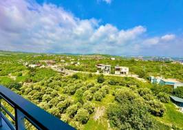 SERLIM11a648009_original