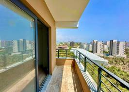 SERLIM21b54117_original