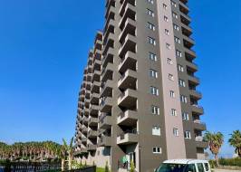 SM1_түпнұсқа