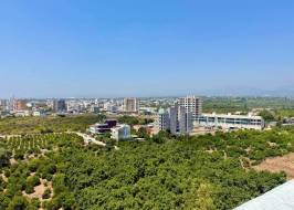 photo_2025-07-31_12-10-17_original