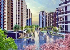 DIS__GO_RSEL_6_original