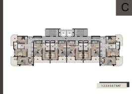 C-1_түпнұсқа