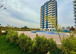 IMG_3974_original_original