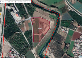 HARITA_GORUNUM_original