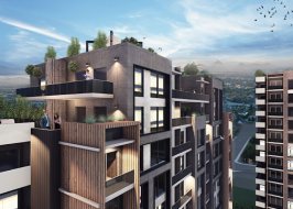 IMG-1806_түпнұсқасы