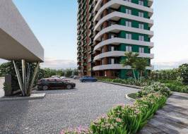 msg735521735-137451_original