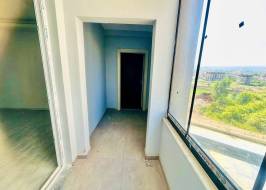 msg735521735-137684_original