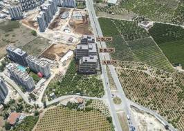 AA01010v23_original_original