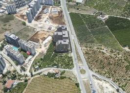 vaziyet_12_-_Foto_original