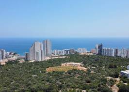 msg735521735-137933_original