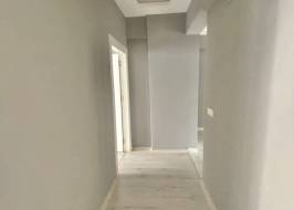 msg735521735-147830_түпнұсқа