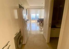 msg735521735-150288_original