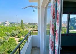 msg735521735-147453_original