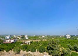 msg735521735-147454_original