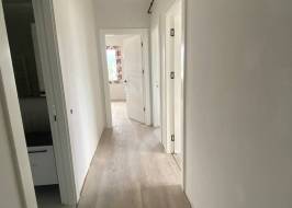 msg735521735-148570_original