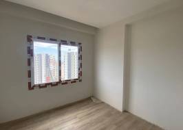 msg735521735-148572_original