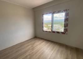 msg735521735-148576_original