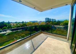 msg735521735-149707_original