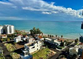 msg735521735-155493_original