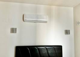 WhatsApp_Image_2024-01-24_at_12.39.31_4_original