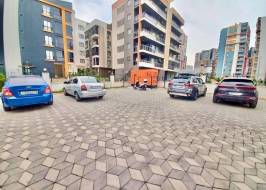 d8bf8bb8-c2ea-4d76-b18f-2ff7d020769e_original