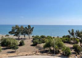 IMG-20231011-WA0111_original