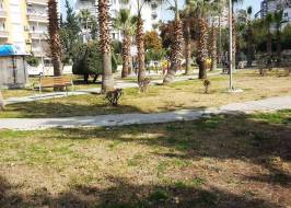 WhatsApp_Image_2024-04-19_at_11.18.42_original