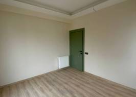 msg735521735-177786_original