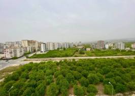 msg735521735-177798_original