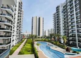 photo_5283159930334993124_y_original