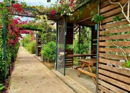 IMG_6882_түпнұсқа