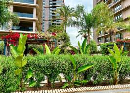 msg735521735-177978_түпнұсқа