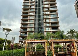 msg735521735-177981_түпнұсқа