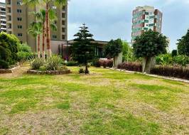 msg735521735-177986_түпнұсқа